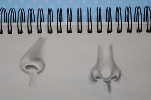noses sketch