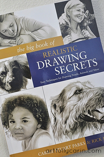 The Big Book of Realistic Drawing Secrets (review)